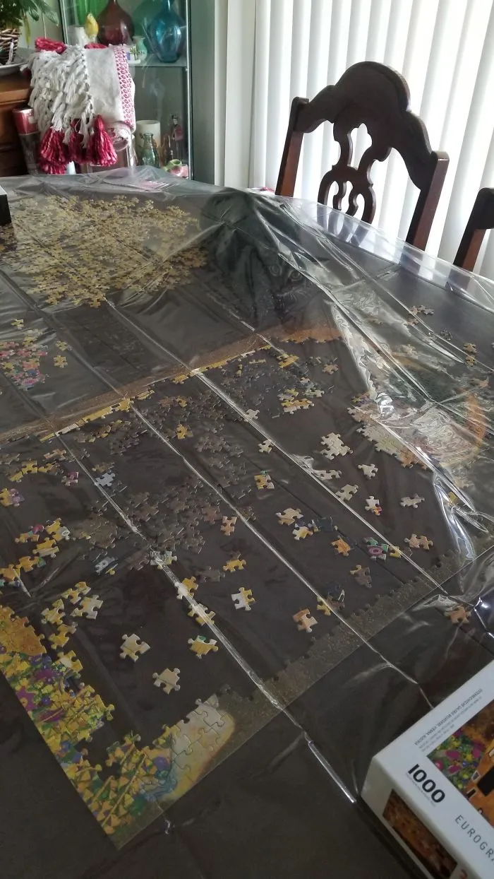 We Tried To Kitten Proof The Puzzle, But She's Tenacious