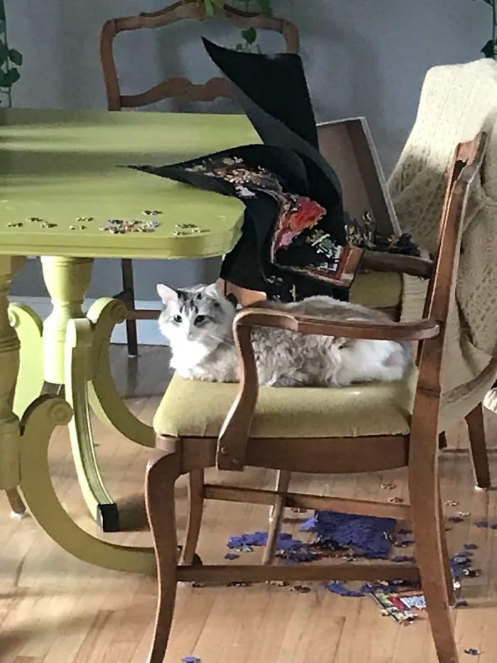 How Dare We Try To Do A Puzzle In Her Throne Room