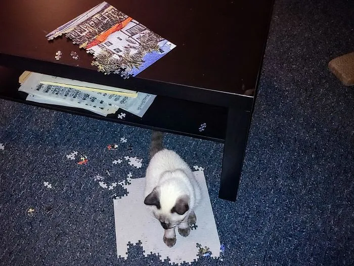 Me faltaban 5 piezas cuando el desastre, llamado Momo, hizo su aparición