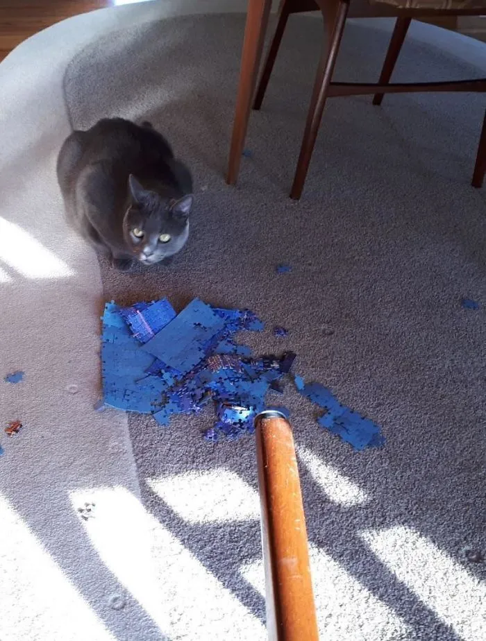 ¡Gato malo! Está obsesionado con arruinar el puzzle