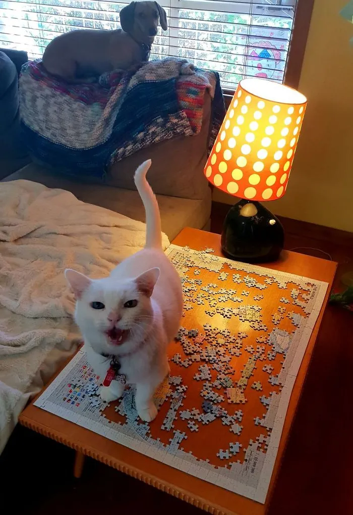 Snowy - Destroyer Of Worlds