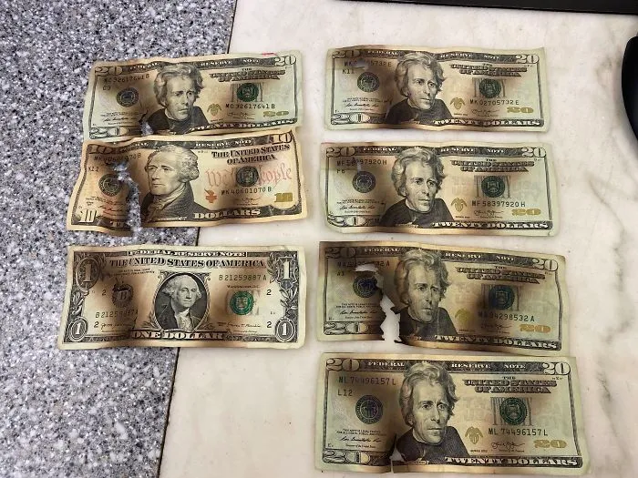 Han traido estos billetes al banco tras intentar desinfectarlos en el microondas