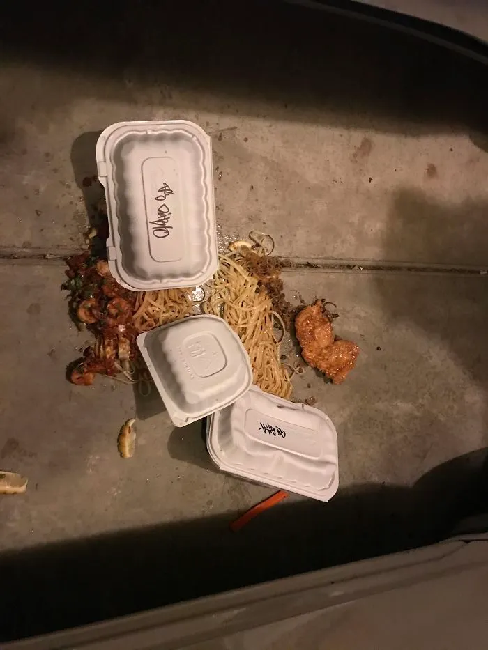 Compré cena para llevar en un restaurante. Se salió la salsa, se rompió la bolsa y adiós cena