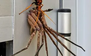 40 Times Mother Nature Proved To Be Scary As Hell (WARNING: This List Might Be Too Scary For You)