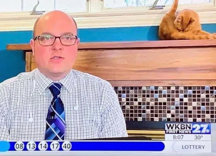 Esto salió en las noticias locales