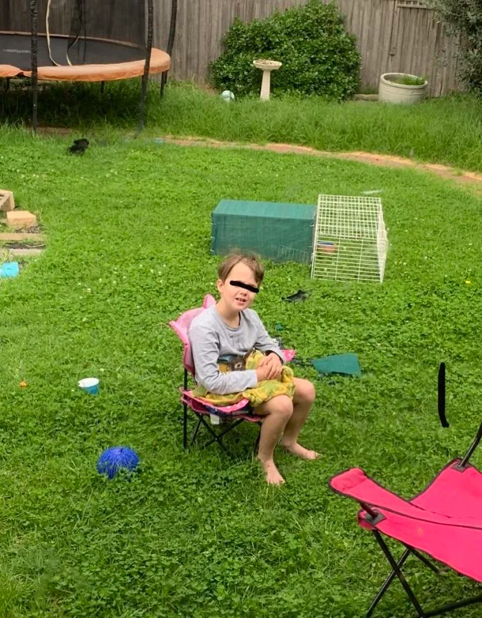 My Son, 8, Who Happens To Have Autism Got A Bunny. He Sits Outside With The Bunny For Hours. His Echolalia Stops. His Stimming Stops. He Is Calm, Focused And Happy