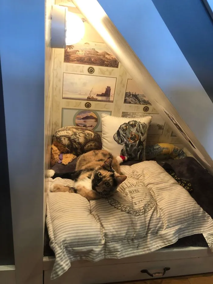 Le ha robado la casa entera