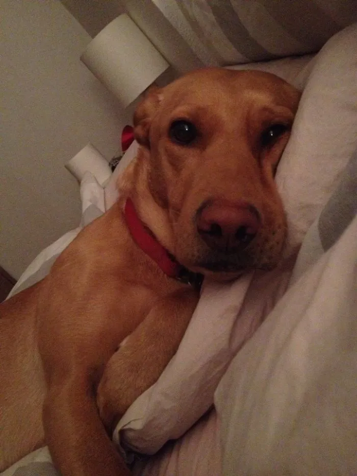 Forgot My Wife Was Away - Rolled Over In Bed To See This