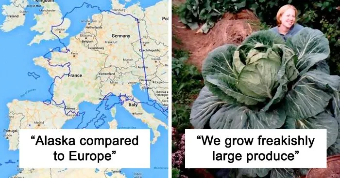 Surprised By How Little Americans Know About Alaska, This Artist Creates A Compilation Of The Coolest Facts About This State