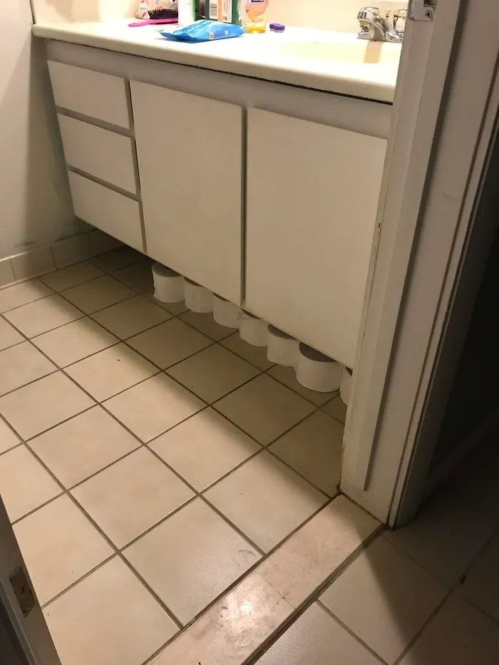 Told My 3 And 4-Year-Olds To Put The Toilet Paper Under The Sink. Must Be More Specific Next Time