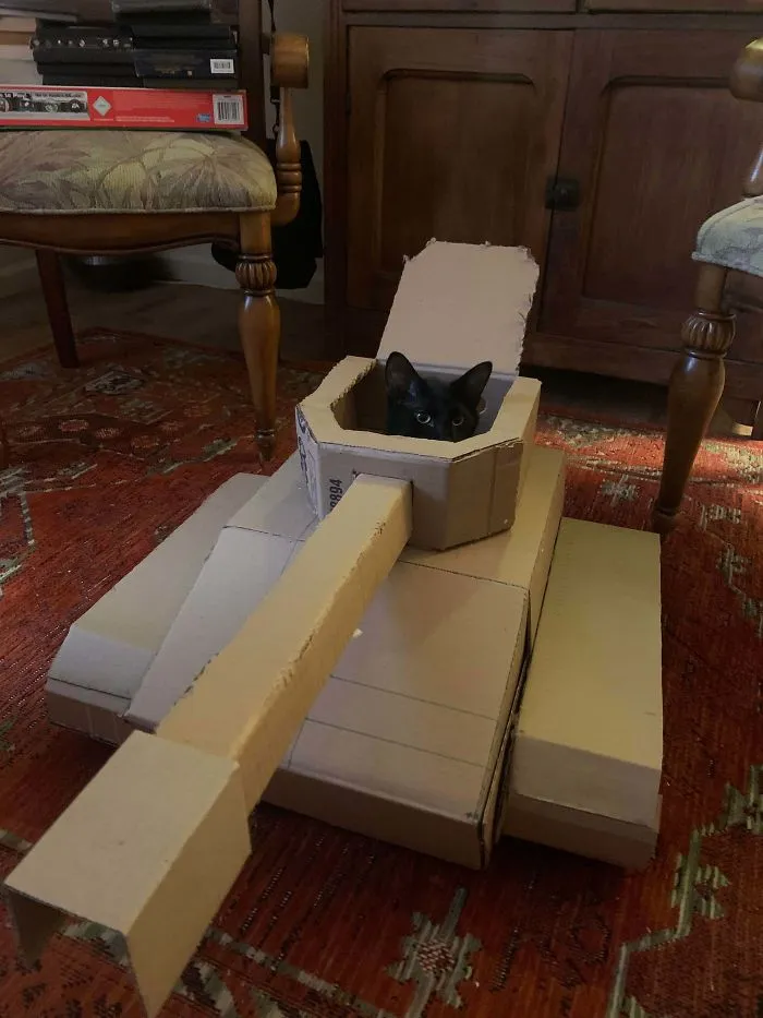 People Are So Bored During Quarantine That They’re Building Cardboard Tanks For Their Cats (30 Pics)