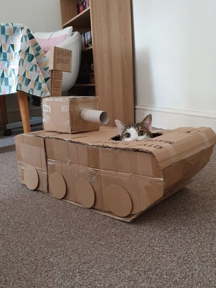 People Are So Bored During Quarantine That They’re Building Cardboard Tanks For Their Cats (30 Pics)