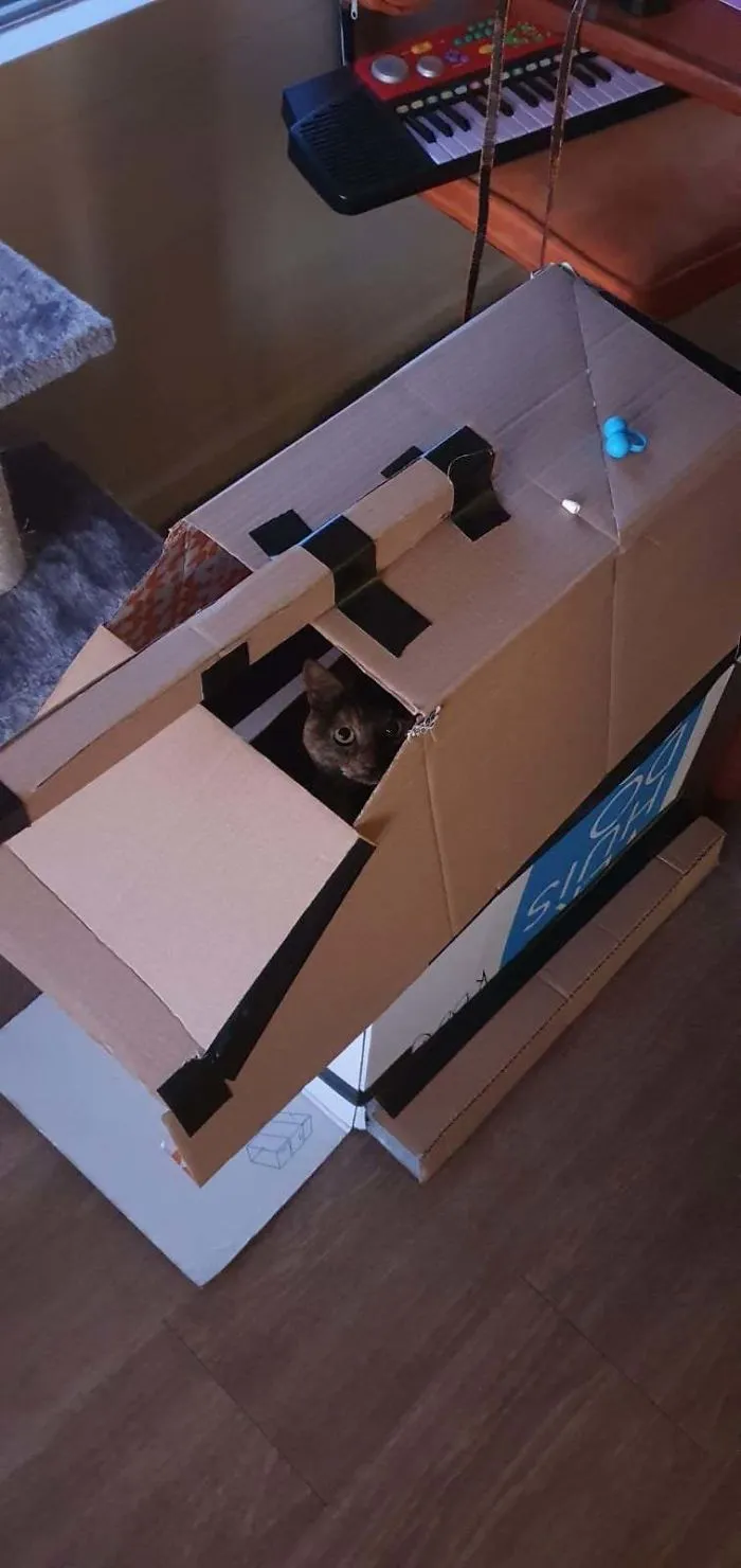 People Are So Bored During Quarantine That They’re Building Cardboard Tanks For Their Cats (30 Pics)