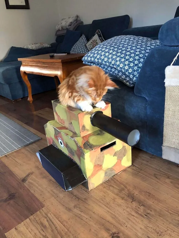 People Are So Bored During Quarantine That They’re Building Cardboard Tanks For Their Cats (30 Pics)