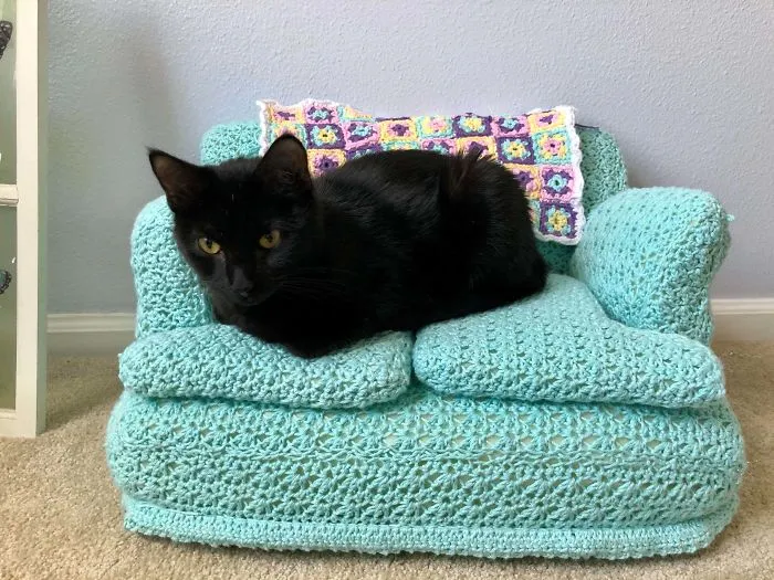 La gente usa su tiempo libre tejiendo a ganchillo pequeños sofás para sus gatos