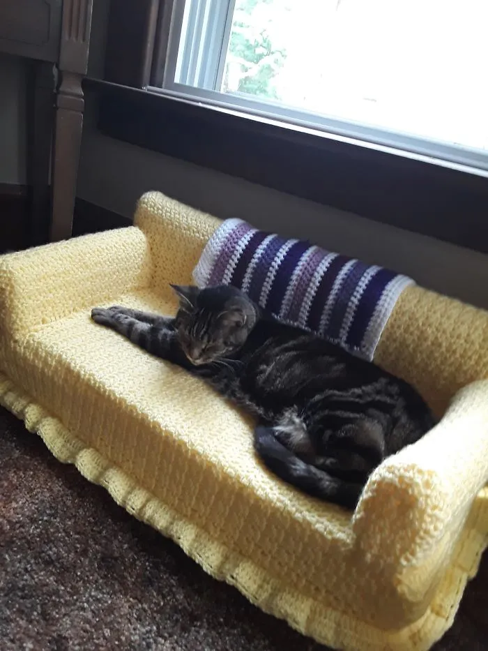 La gente usa su tiempo libre tejiendo a ganchillo pequeños sofás para sus gatos