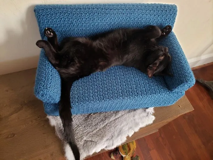 La gente usa su tiempo libre tejiendo a ganchillo pequeños sofás para sus gatos