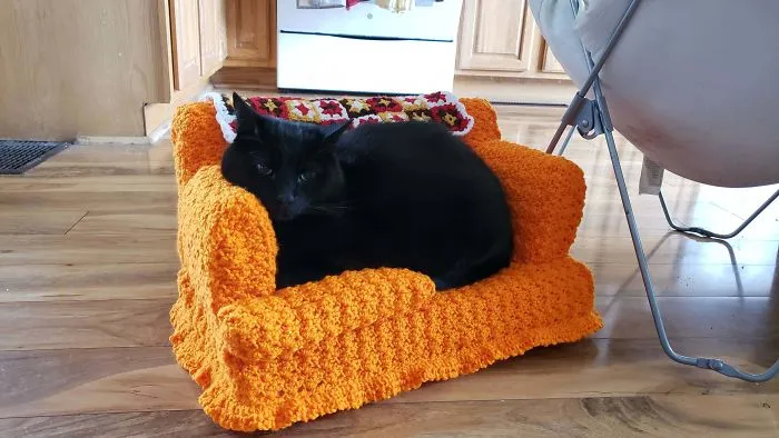 La gente usa su tiempo libre tejiendo a ganchillo pequeños sofás para sus gatos