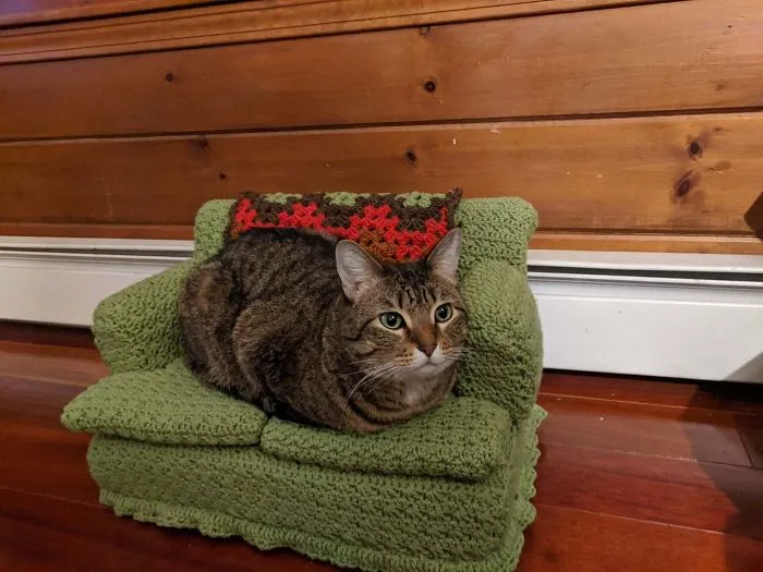 La gente usa su tiempo libre tejiendo a ganchillo pequeños sofás para sus gatos