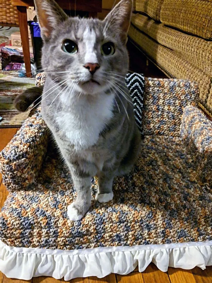 La gente usa su tiempo libre tejiendo a ganchillo pequeños sofás para sus gatos