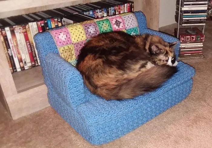 La gente usa su tiempo libre tejiendo a ganchillo pequeños sofás para sus gatos