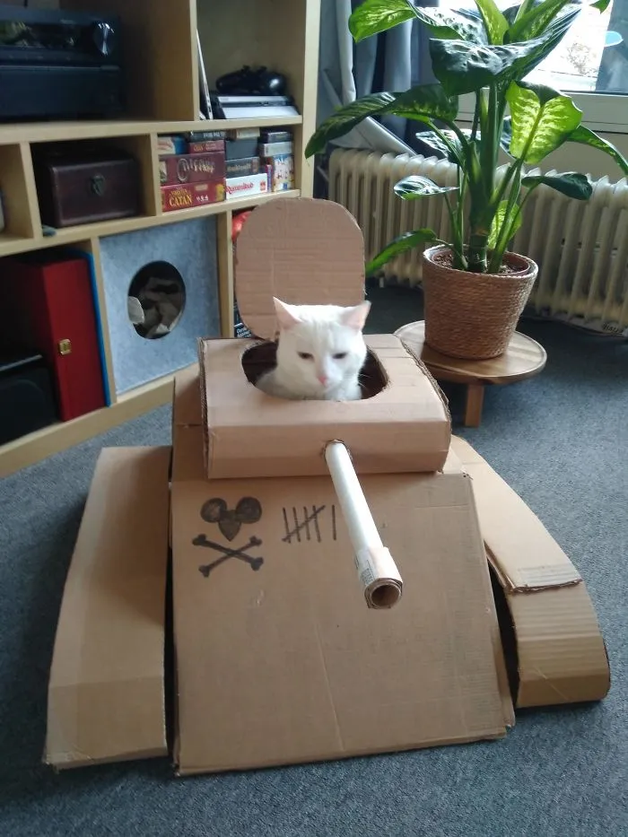 People Are So Bored During Quarantine That They’re Building Cardboard Tanks For Their Cats (30 Pics)