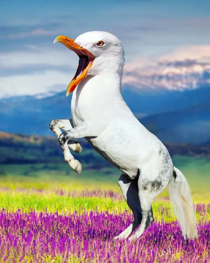 Horgull