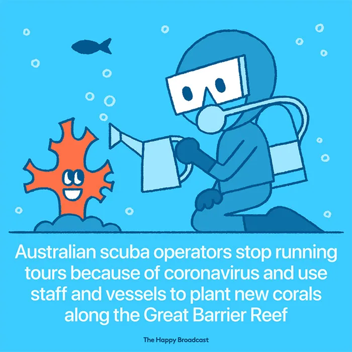I’m Honestly Fed Up With All The Bad News, So I Illustrated 15 Of The Best Ones About The Coronavirus Situation