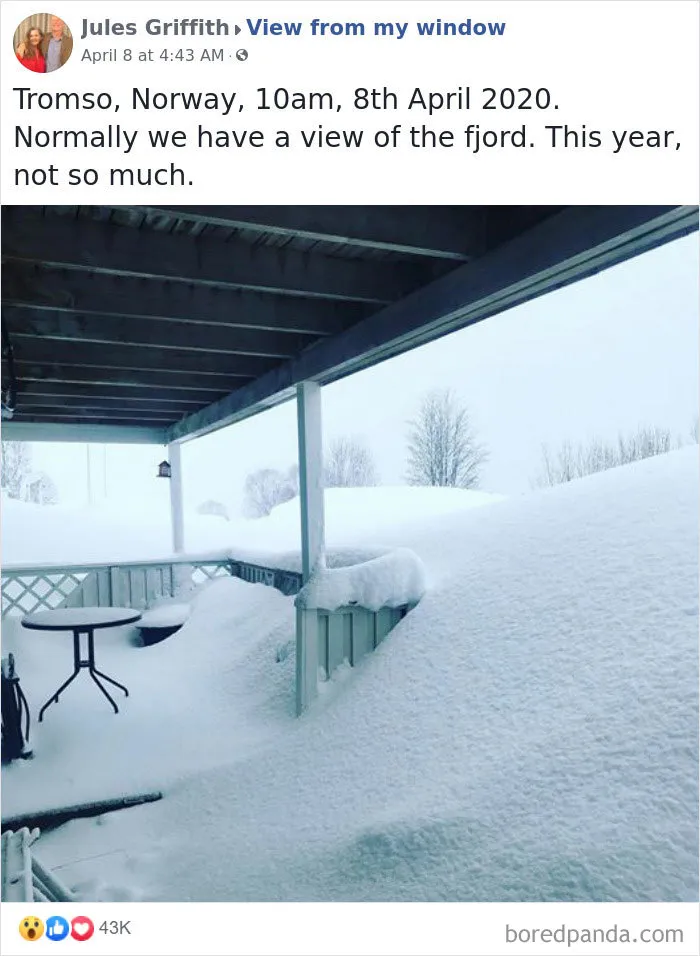 Insanely Popular Online Group Has People Sharing Their 'View From My Window' And Here Are The 40 Best Submissions