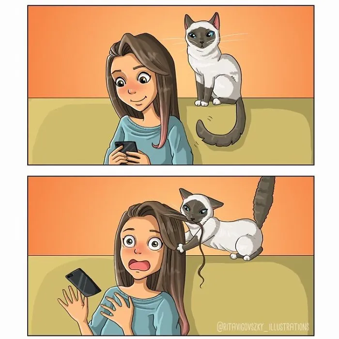 Artist Illustrates Everyday Life With A Cat In These 31 Relatable Comics