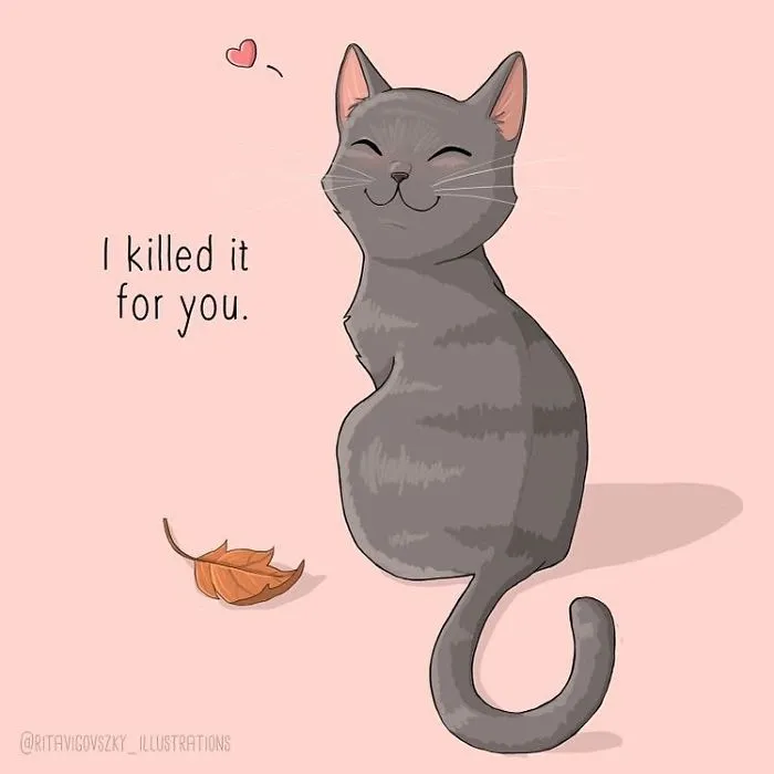 Artist Illustrates Everyday Life With A Cat In These 31 Relatable Comics