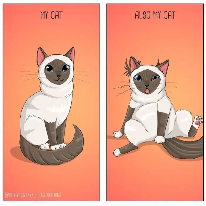 Artist Illustrates Everyday Life With A Cat In These 31 Relatable Comics