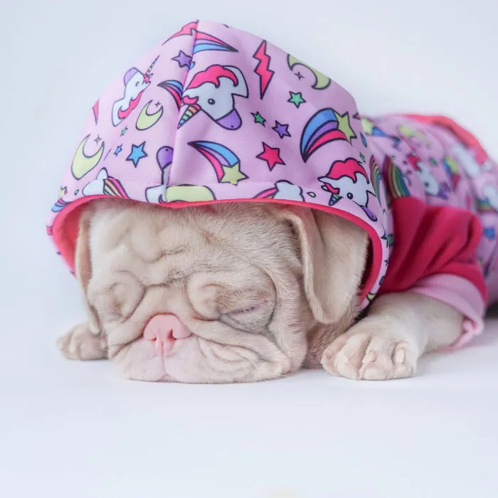 One Of Less Than 100 Pink Pugs In The World ‘Milkshake’ Is Stealing Hearts On Instagram