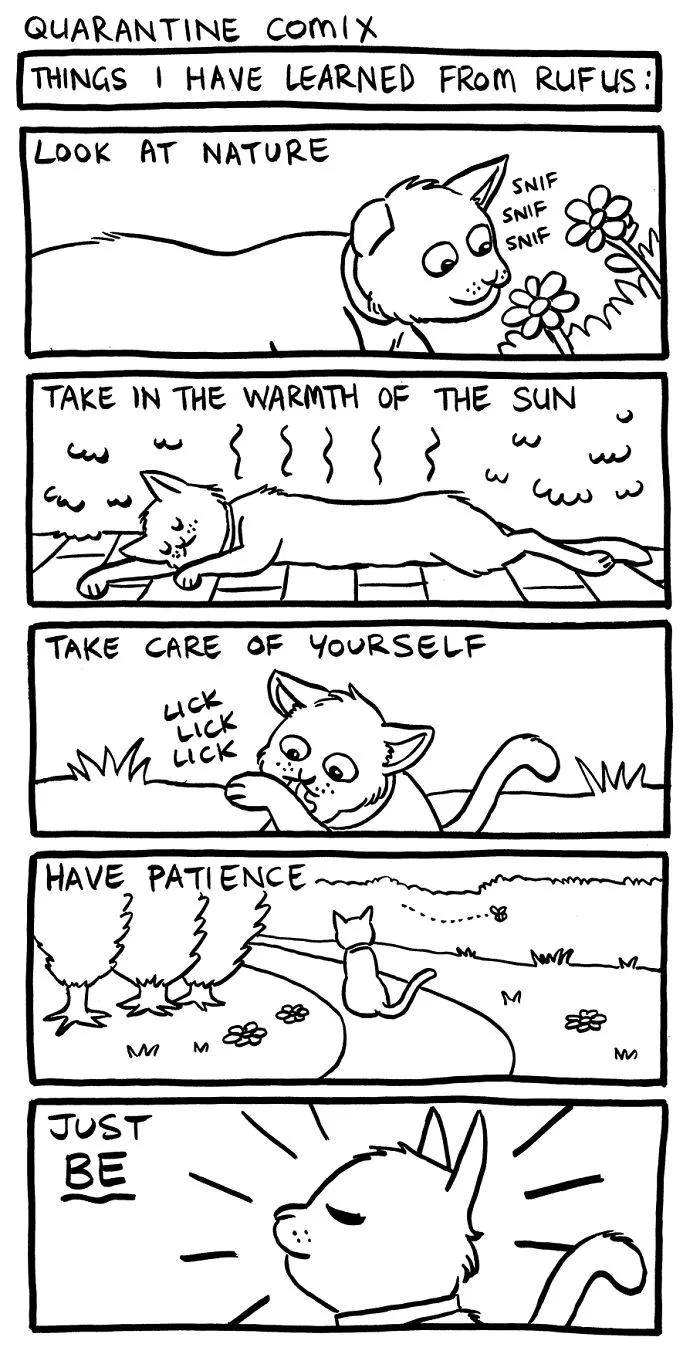 Here Are My 30 Comics About Lockdown And Coming Out Of It