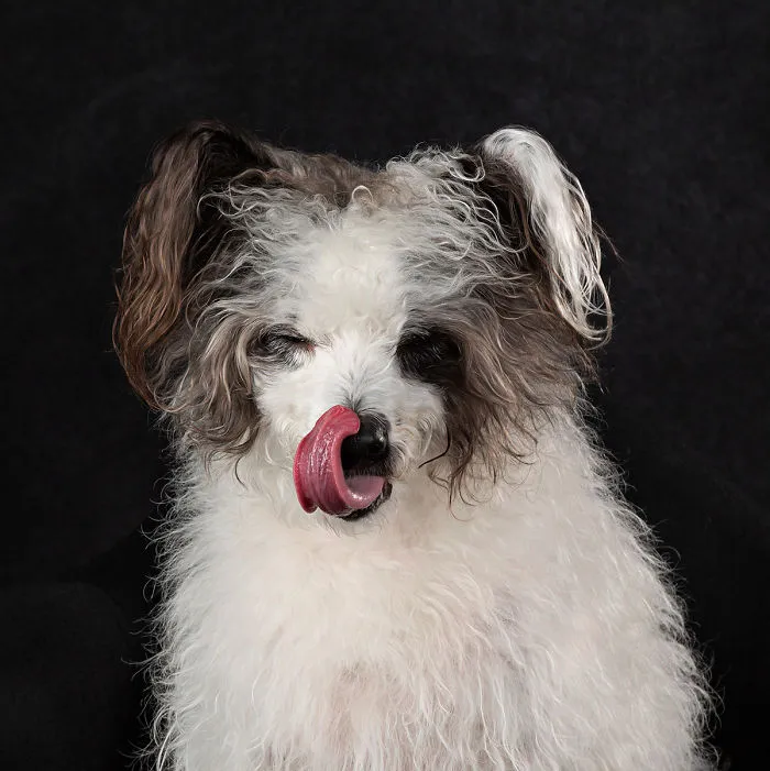 Milo