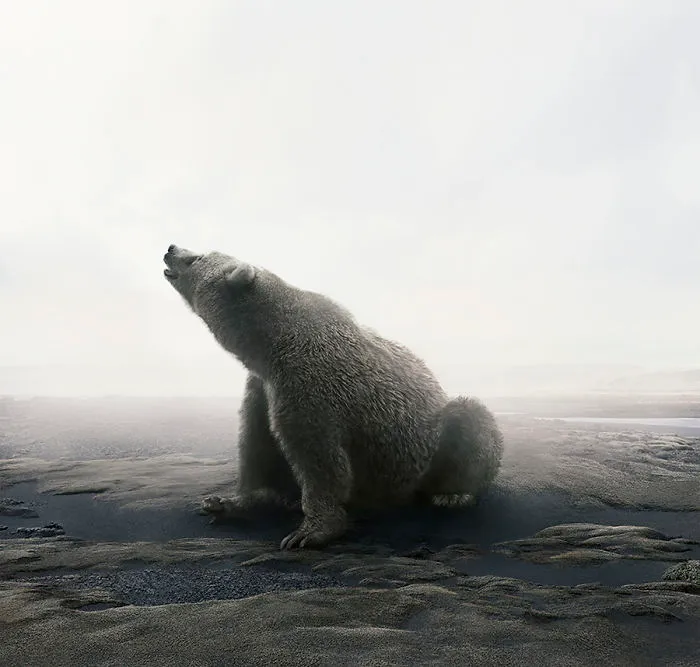 Bear With It