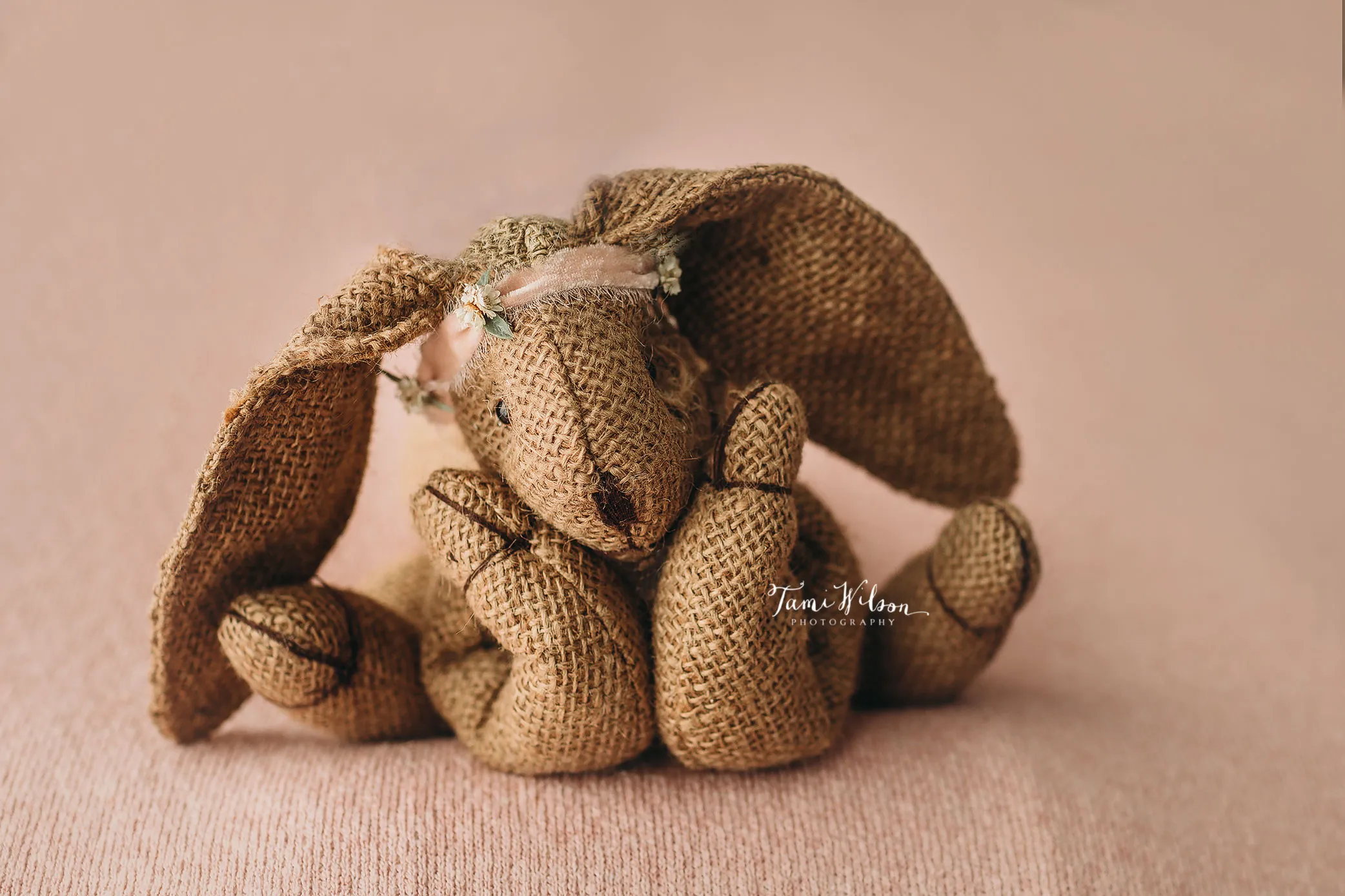 I Miss Photographing Newborn Babies