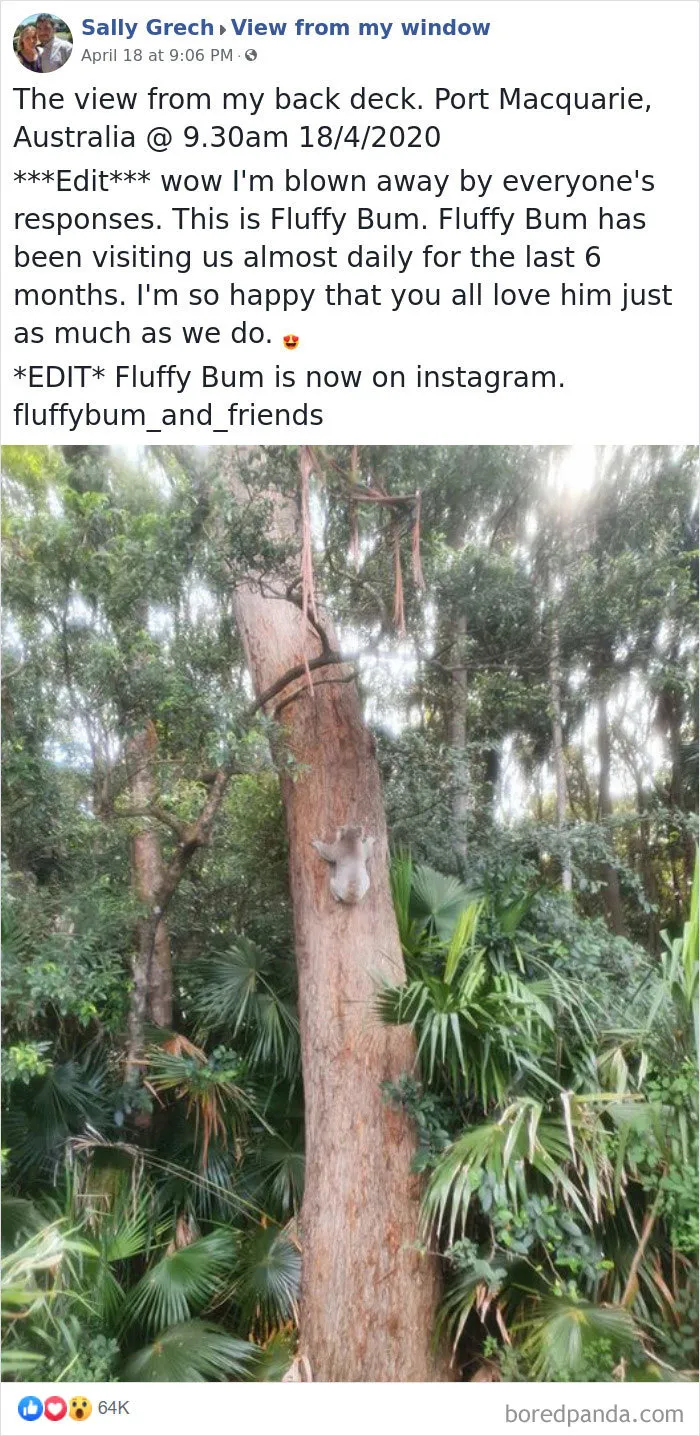 Insanely Popular Online Group Has People Sharing Their 'View From My Window' And Here Are The 40 Best Submissions