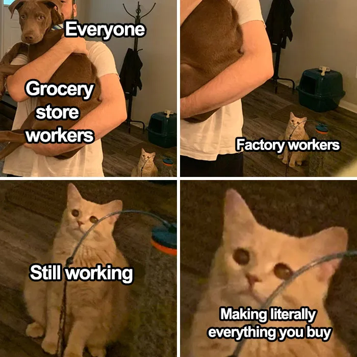 30 Hilarious Essential Worker Memes