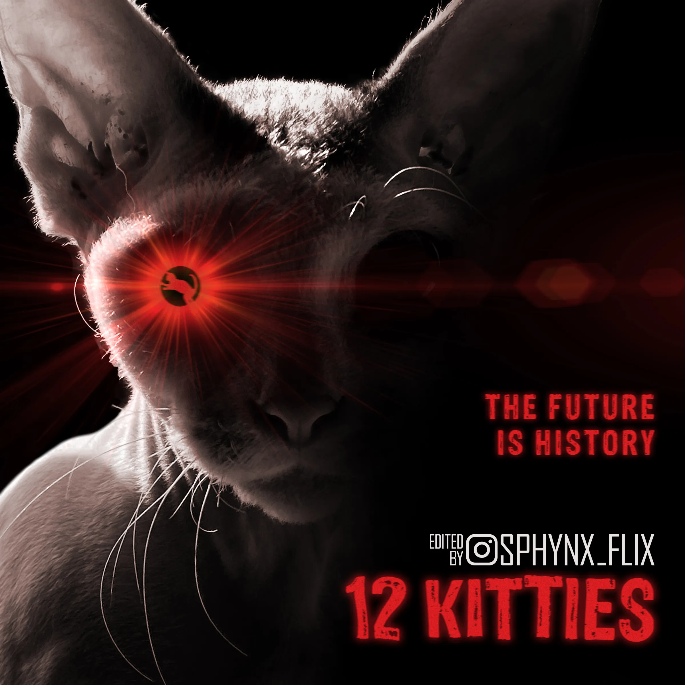 My 84 Movie Poster Parodies Starring Sphynx Cats