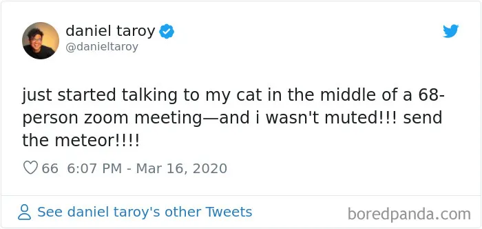 35 Quarantine Conference Calls Gone Hilariously Wrong