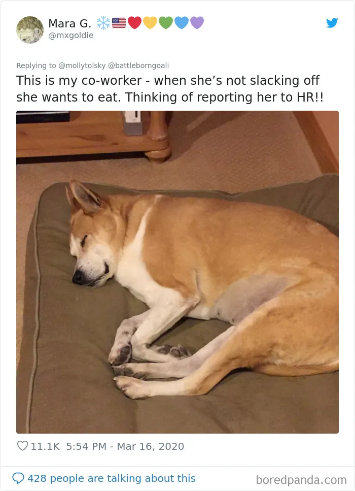 Someone Suggests That Couples Working From Home Should Blame Things On Fake "Coworkers", Gets 30 Funny Replies