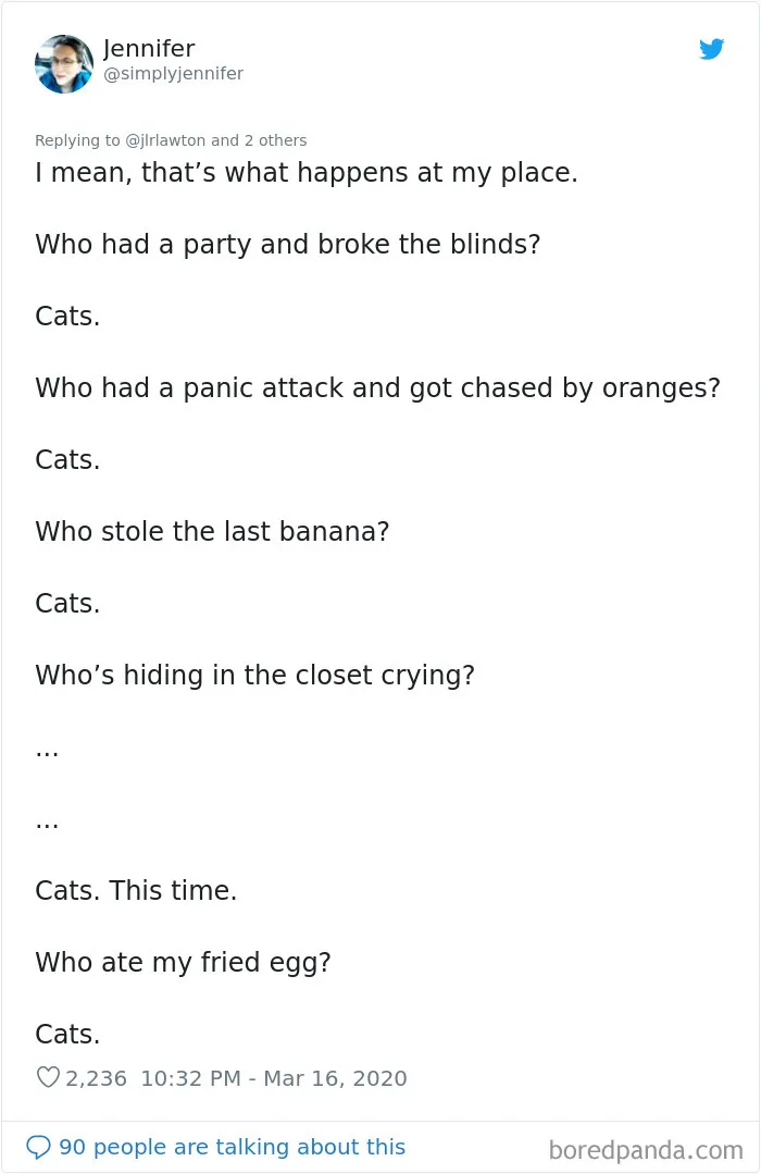 Someone Suggests That Couples Working From Home Should Blame Things On Fake "Coworkers", Gets 30 Funny Replies