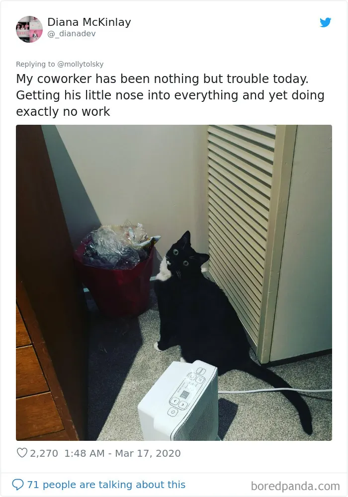 Someone Suggests That Couples Working From Home Should Blame Things On Fake "Coworkers", Gets 30 Funny Replies
