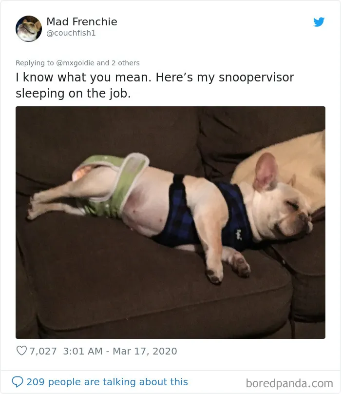 Someone Suggests That Couples Working From Home Should Blame Things On Fake "Coworkers", Gets 30 Funny Replies