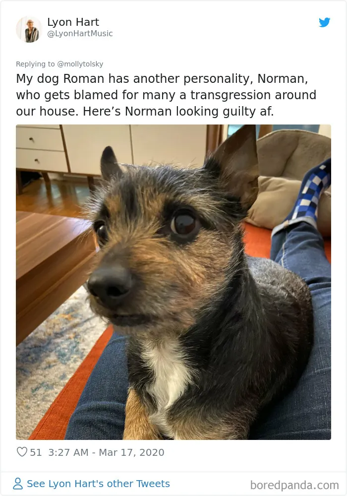 Someone Suggests That Couples Working From Home Should Blame Things On Fake "Coworkers", Gets 30 Funny Replies