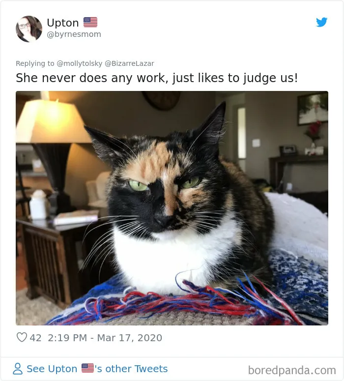 Someone Suggests That Couples Working From Home Should Blame Things On Fake "Coworkers", Gets 30 Funny Replies