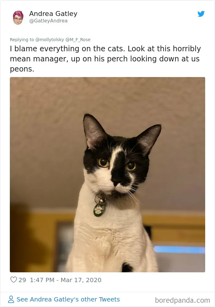 Someone Suggests That Couples Working From Home Should Blame Things On Fake "Coworkers", Gets 30 Funny Replies