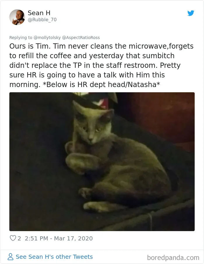 Someone Suggests That Couples Working From Home Should Blame Things On Fake "Coworkers", Gets 30 Funny Replies