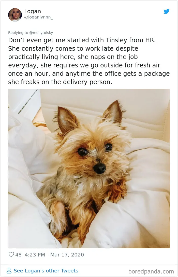 Someone Suggests That Couples Working From Home Should Blame Things On Fake "Coworkers", Gets 30 Funny Replies